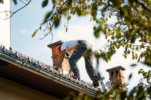 Roof Gutter Cleaning in Groveland, ID